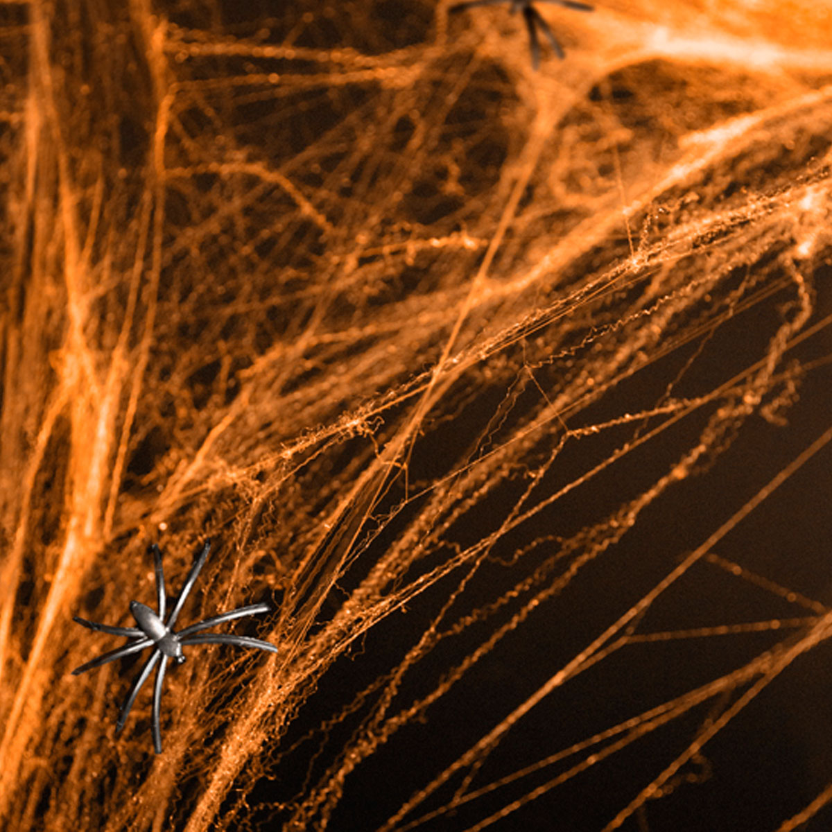 Partydeco Halloween -Spinnennetz Orange 60g 