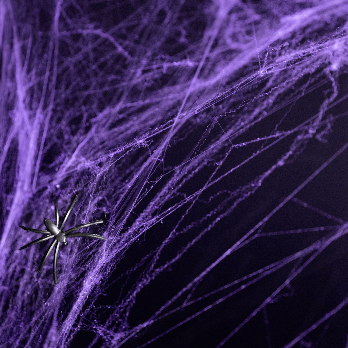 Partydeco Halloween -Spinnennetz Lila 60g 