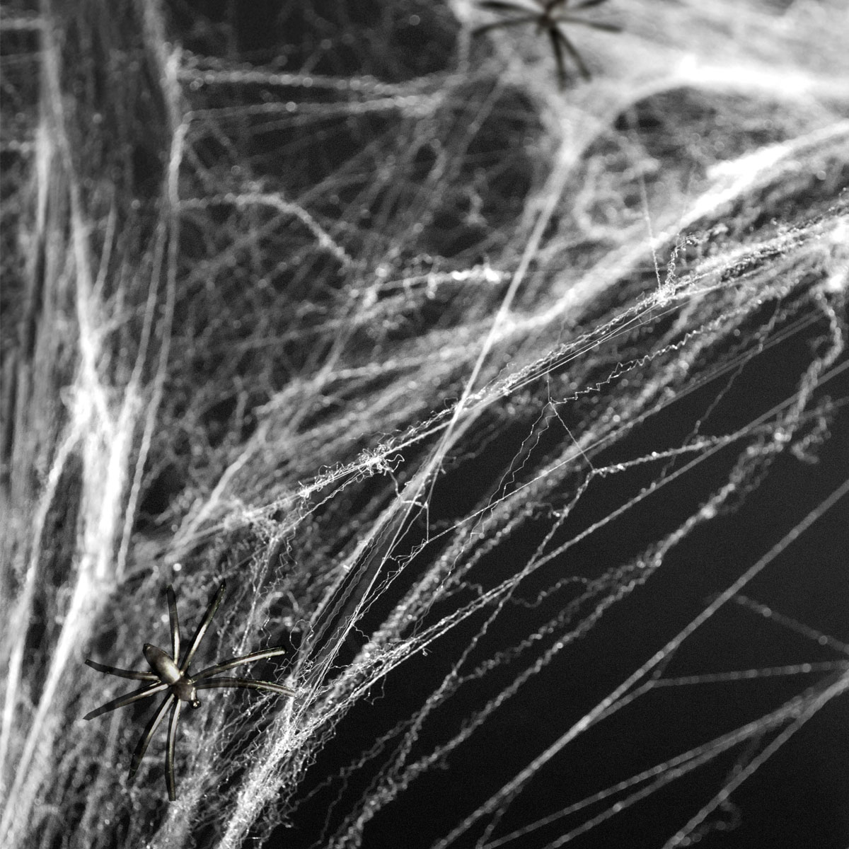 Partydeco Halloween -Spinnennetz weiß 